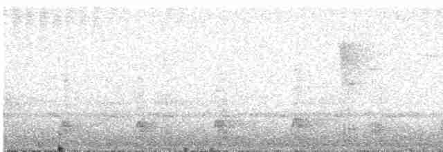 Toucanet à gorge blanche - ML612247935