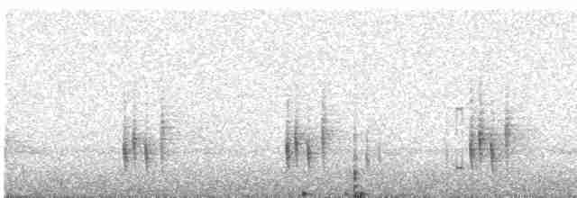 Gray-breasted Wood-Wren (meridana) - ML612248145
