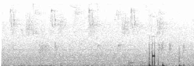 Troglodyte montagnard - ML612248175