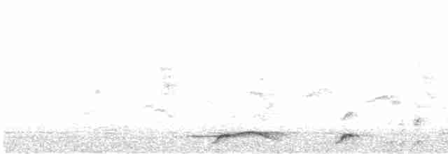 Ak Göğüslü Suyelvesi - ML612249358