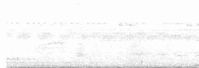 Ak Karınlı Kara Ağaçkakan - ML612249532