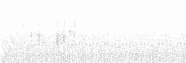 Raket Kuyruklu Saksağan - ML612250277