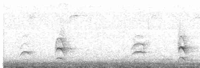 Гвианская иглохвостка - ML612253221