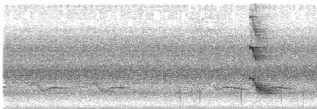 אנפית מנגרובים - ML612253451