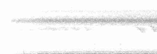 קיכלי Turdus בלתי-מזוהה - ML612254434