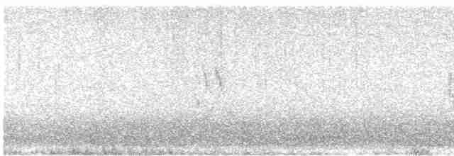 Loggerhead Shrike - ML612258028