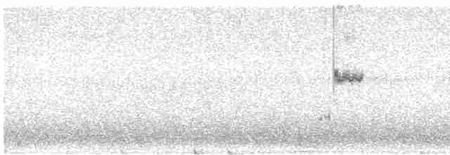 Loggerhead Shrike - ML612258029