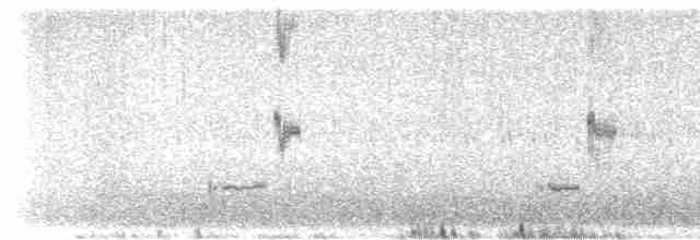Loggerhead Shrike - ML612258032
