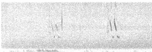 Loggerhead Shrike - ML612258033