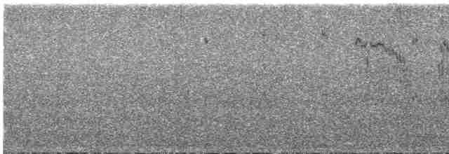 Common Tern - ML612260773