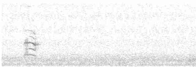 Great Reed Warbler - ML612263040