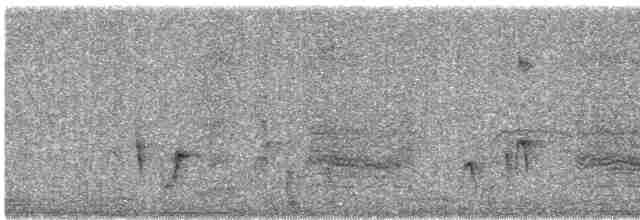 svartryggvarsler (collaris gr.) - ML612265075