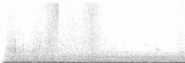 Gray Wagtail - ML612267200