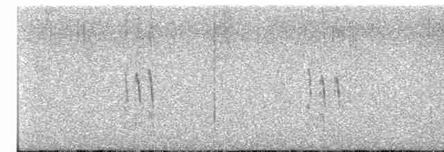 Plectrophane à ventre gris - ML612269793