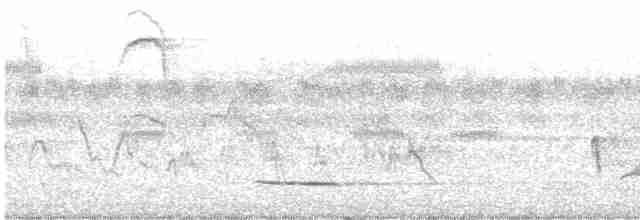 Quebracho Crested-Tinamou - ML612274521