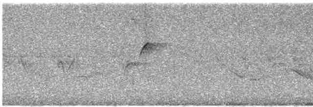 Batı Amerika Sinekkapanı (occidentalis/hellmayri) - ML612276369