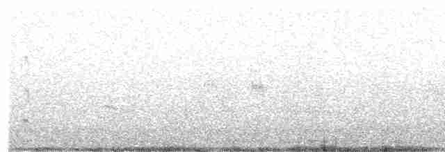 Black-fronted Tern - ML612280083