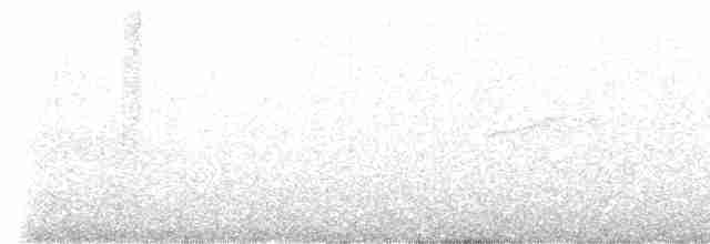 Tarin à menton noir - ML612281511