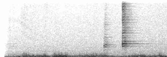 Чернолицый ибис - ML612281533