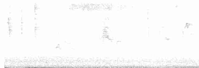 Jerichonektarvogel (osea) - ML612283713