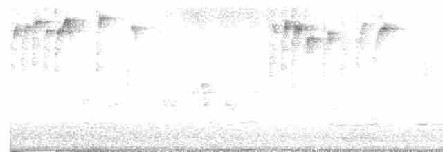 Jerichonektarvogel (osea) - ML612283714