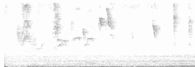 Jerichonektarvogel (osea) - ML612283715