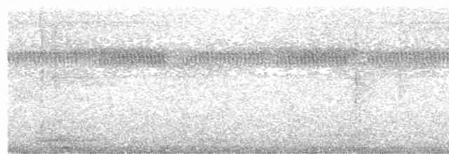 Гормігуеро білобровий - ML612285865