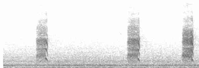 Bécassine des marais - ML612286601