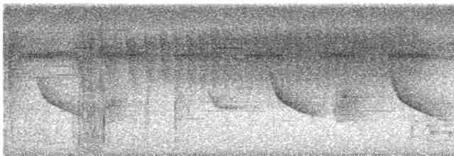 Chestnut-shouldered Antwren - ML612288154