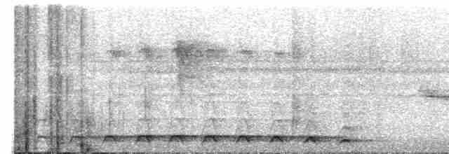 Lattice-tailed Trogon - ML612293006