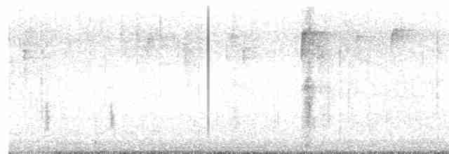 Дрізд-короткодзьоб плямистоволий - ML612295845