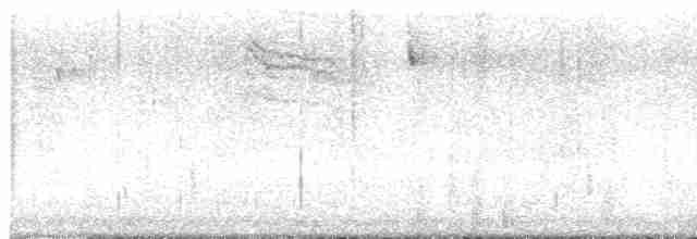 Дрізд-короткодзьоб плямистоволий - ML612295846