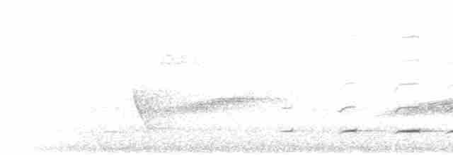 Gray Whistler (Gray-headed) - ML612297019