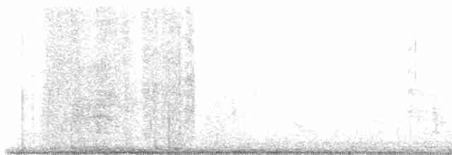 Pileated Woodpecker - ML612297521