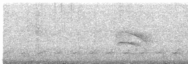 Spotted Puffbird - ML612299373