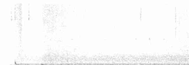 "Шишкар ялиновий (Northeastern, або тип 12)" - ML612307248
