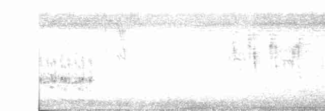 White-throated Crake - ML612316179