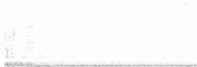 黃蹼洋海燕 - ML612319977