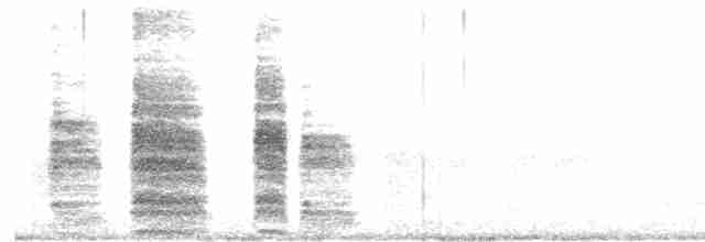 黃蹼洋海燕 - ML612319978