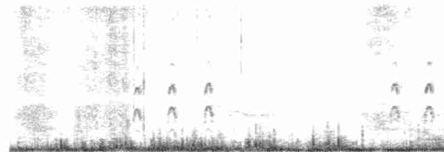 Antarctic Tern - ML612319985