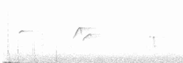 Batı Amerika Sinekkapanı (occidentalis/hellmayri) - ML612320844