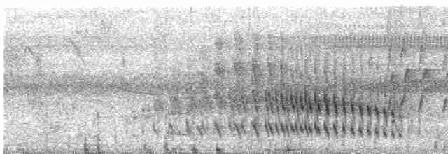 Желтогорлая пищуховая иглохвостка - ML612321041