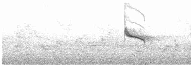 Swinhoe's White-eye - ML612326678