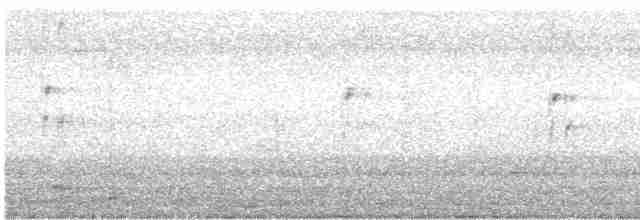 Pied Kingfisher - ML612329503