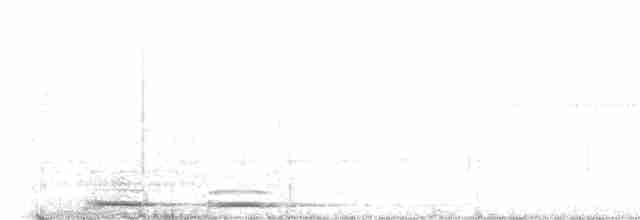 Австралийская иглоногая сова - ML612329946