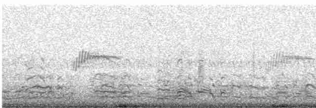 Скальный крапивник - ML612331301