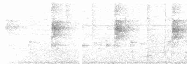 rustbrystløvvender (scansor) - ML612332278
