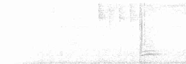 Белошейный дрозд - ML612332299