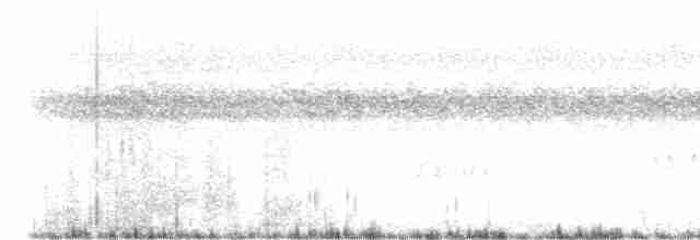 Желтогорлая пищуховая иглохвостка - ML612334354