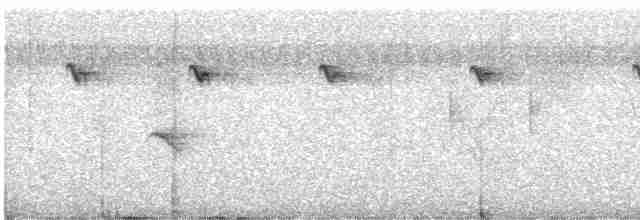 Тигровый астрильд - ML612334923